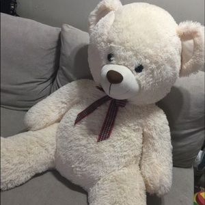 Big Teddy Bear